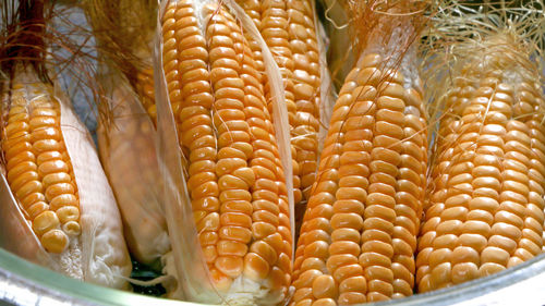 Close-up of corn cubs in bowl on table