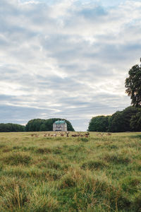 Deer colony in dyrehaven park