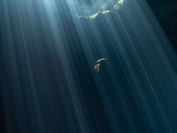 Low angle view of illuminated light underwater