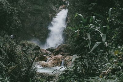 View of waterfall in forest