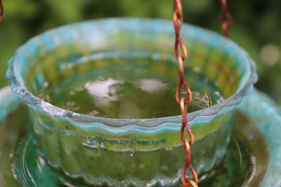 Close-up of water drops on dish 