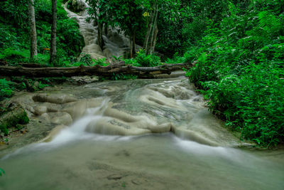 Stream flowing through rocks in forest