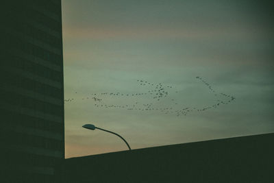 Low angle view of birds flying against sky