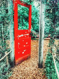 Close-up of red door