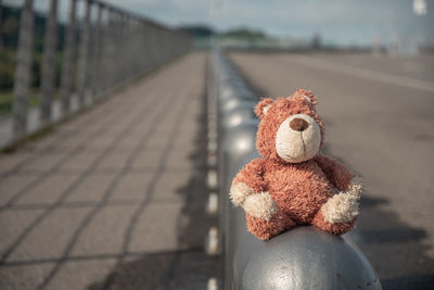 Close-up of teddy bear