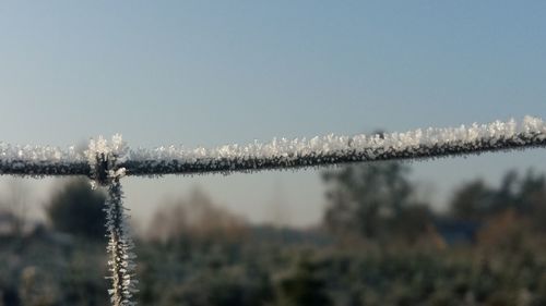 Close-up of water against clear sky