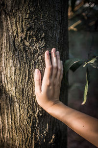 Close-up of hands on tree trunk