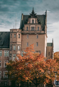 Low angle view of trees and buildings against sky