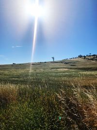 Low angle view of field against clear sky