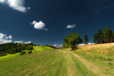 Scenic view of field against sky