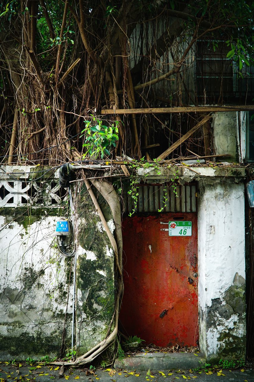 urban area, green, architecture, plant, built structure, no people, abandoned, tree, day, nature, old, building exterior, outdoors, building, rural area, damaged, wall - building feature, house, entrance, rundown, deterioration, decline, shack