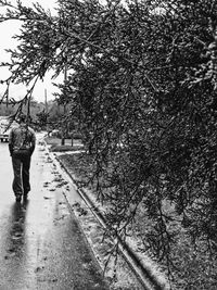 People walking on road