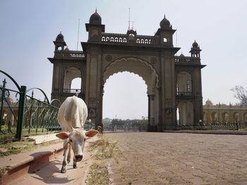 View of statue in front of historical building