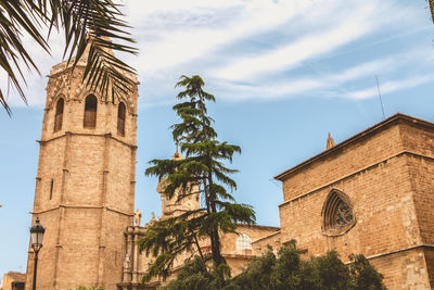 Low angle view of palm trees and building against sky