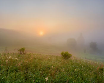 Scenic view of field against sky during sunset