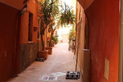 Narrow alley amidst buildings in city