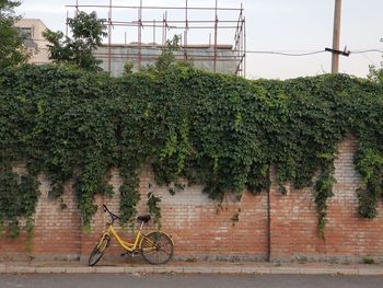 Bicycle parked against wall