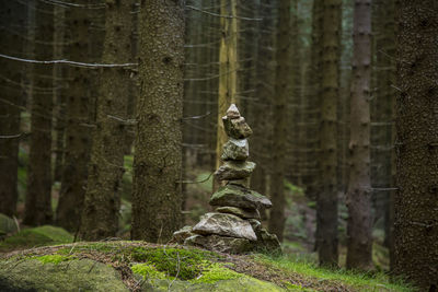 Stones stacked on mossy rock in forest