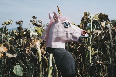 Person in horse head standing amidst plants