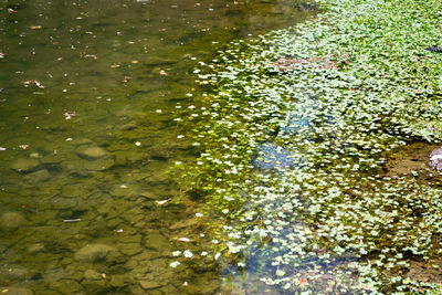 Close-up high angle view of water