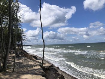 Scenic view of a lonely tree and a beach against sky