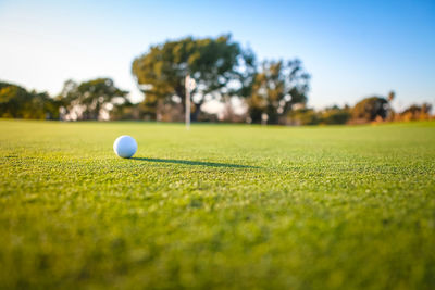 Close-up of ball on golf course