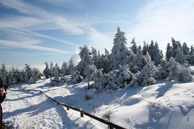 Snow covered land and trees against sky