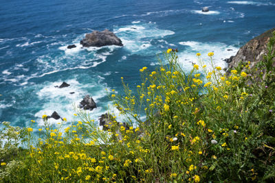 High angle view of water on rocks by sea