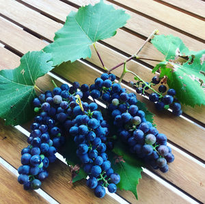 High angle view of grapes on table