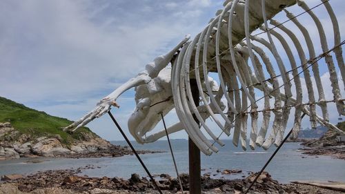 View of sea against sky