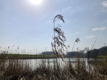 Scenic view of lake against sky