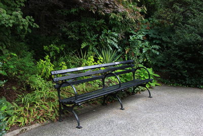 Empty bench in park