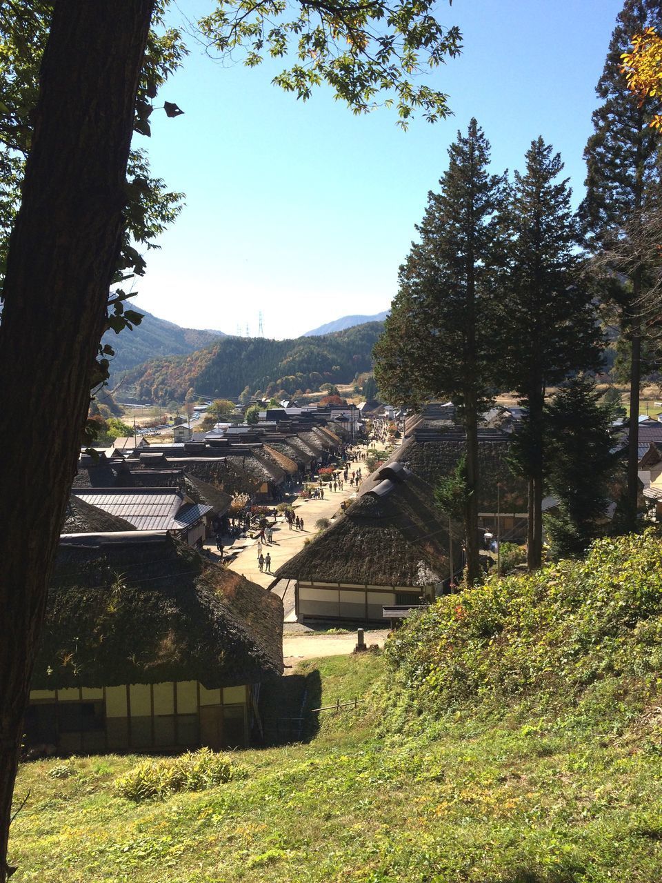 HOUSES BY TREES AGAINST SKY