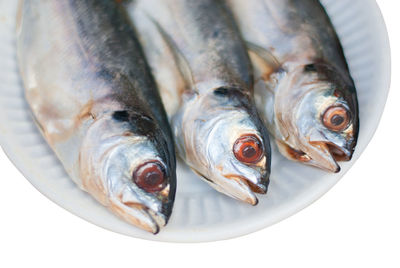High angle view of fish in plate
