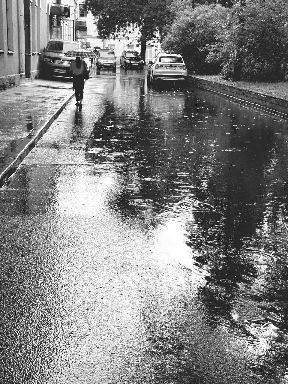 water, wet, rain, transportation, city, mode of transportation, nature, architecture, day, rainy season, reflection, black and white, street, monsoon, tree, building exterior, built structure, motor vehicle, monochrome, car, outdoors, land vehicle, men, plant, monochrome photography, road, one person, road surface, flood, vehicle, umbrella, torrential rain, puddle, lifestyles, waterway