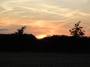 Silhouette trees on field against romantic sky at sunset