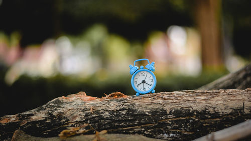 Close-up of clock on tree trunk