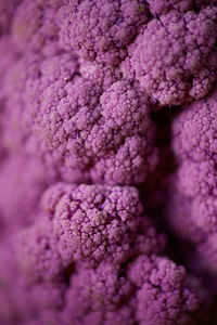 Full frame shot of purple cauliflower