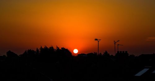 Silhouette of trees at sunset