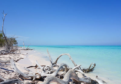 Scenic view of sea against clear blue sky