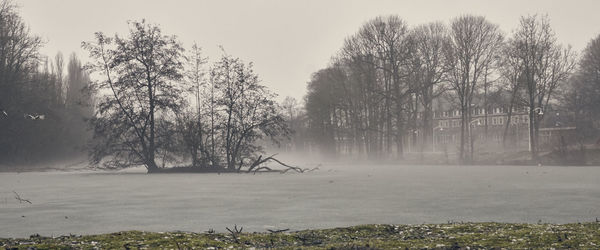 Trees by lake against sky