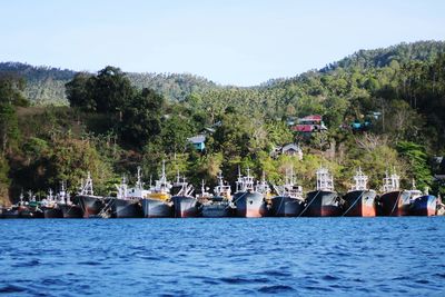 Scenic view of trees against clear sky