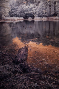 Scenic view of lake