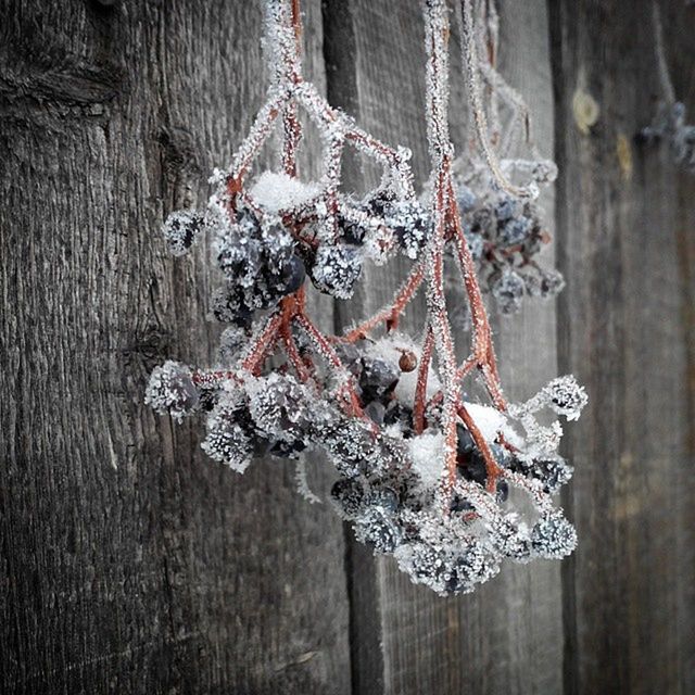 hanging, indoors, decoration, art and craft, wood - material, close-up, still life, creativity, large group of objects, tradition, no people, art, wall - building feature, variation, celebration, cultures, abundance, rope, religion, jewelry