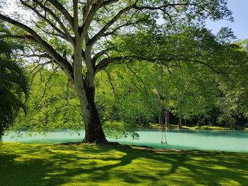 Scenic view of trees by lake against sky