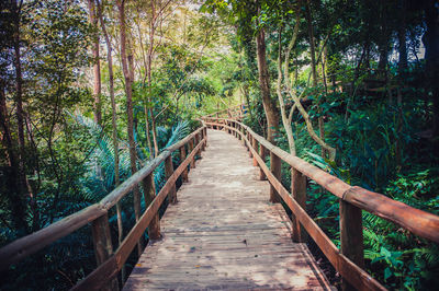 Footbridge amidst trees in forest