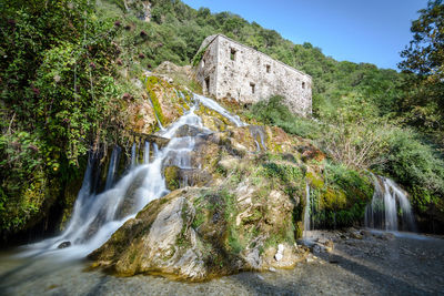 View of waterfall in forest