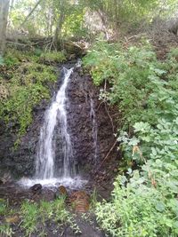 Scenic view of waterfall in forest