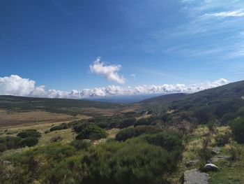 Scenic view of landscape against sky