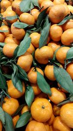 Full frame shot of fruits for sale at market stall